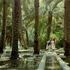 Al Ain Oasis