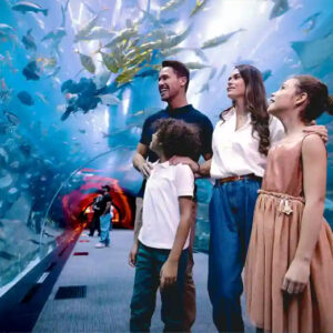 Dubai Aquarium & Underwater Zoo