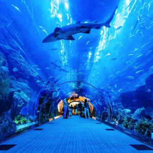 National Aquarium Abu Dhabi