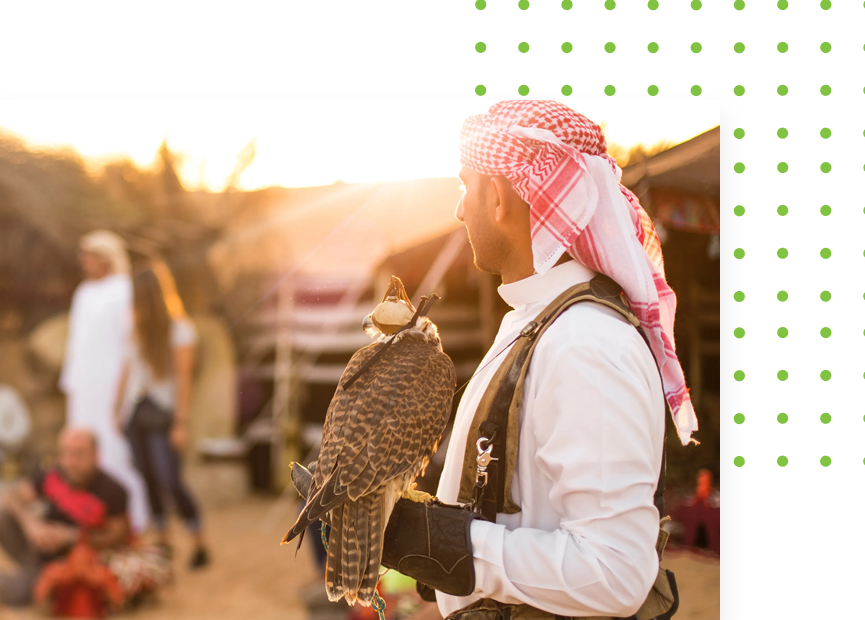 Desert Safari in Abu Dhabi