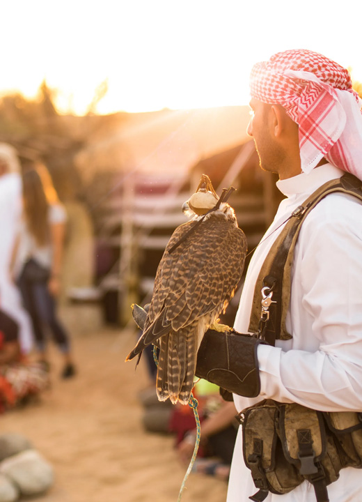 Desert Safari in Abu Dhabi