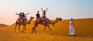 Renting a Car with a Driver